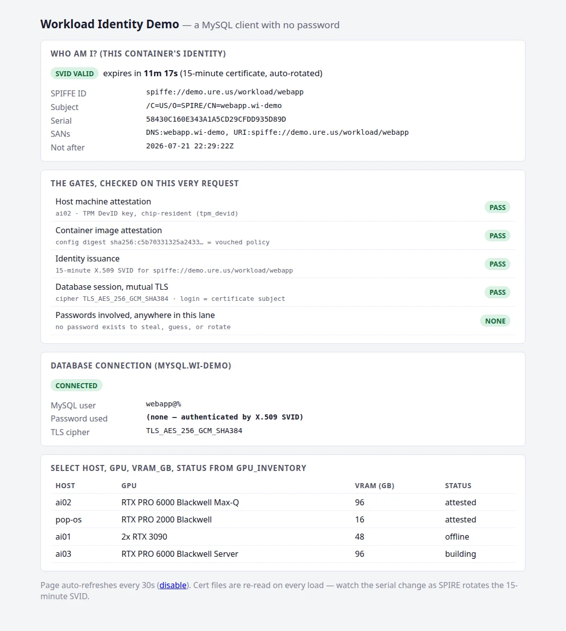The demo page, every gate green: TPM host attestation PASS, image attestation PASS, identity issuance PASS, mutual TLS PASS, passwords NONE; connected as webapp@% with no password