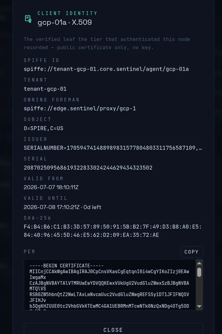 URE Sentinel client identity panel showing a verified X.509 leaf. The SPIFFE ID reads spiffe://tenant-gcp-01.core.sentinel/agent/gcp-01a, with an owning foreman, a subject of O=SPIRE, a validity window of about one day, and a note that zero days remain. Only the public certificate is shown, no private key.